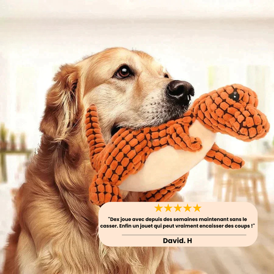 ChewDino™ - Jouet pour chien extra résistant !